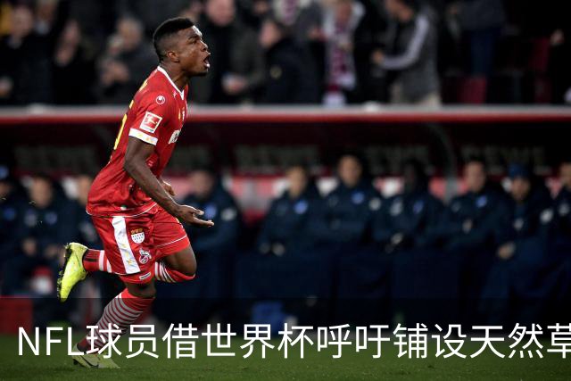 NFL球员借世界杯呼吁铺设天然草，专家：成本问题客观存在，可行性存疑